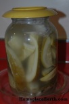 dill pickles in a jar-closeup-BLOG
