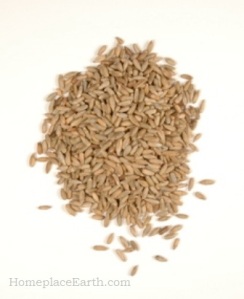 cereal rye-BLOG