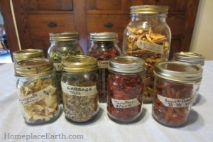 dried food in jars-2012-BLOG
