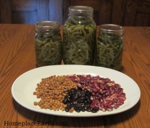 beans-dried and canned--BLOG