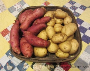potatoes and sweet potatoes-BLOG