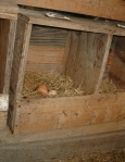 nest box on chicken side
