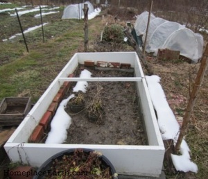 melting snow in coldframe