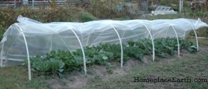 The cord holds the plastic sheeting in place for venting or harvesting.