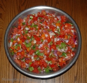 salsa ingredients-chopped