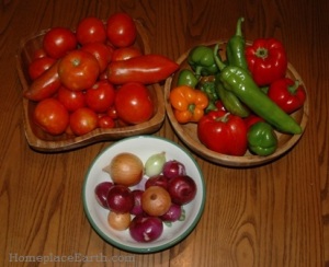 salsa ingredients for one batch