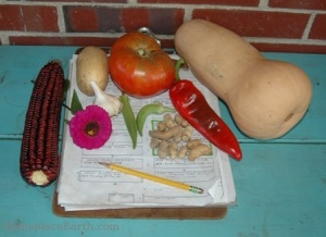 garden clipboard and veggies