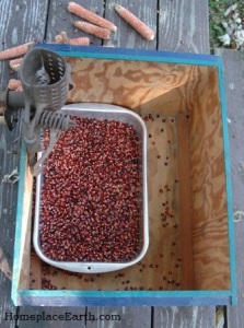 pan inside corn sheller box