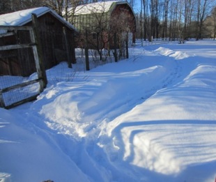 path in the snow to the barn BLOG