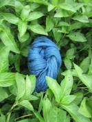 yarn-and-indigo-plants-2-blog