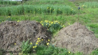 compost-piles-april-2014-blog