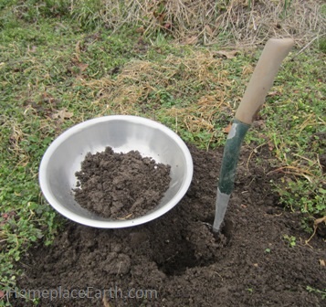 taking a soil test